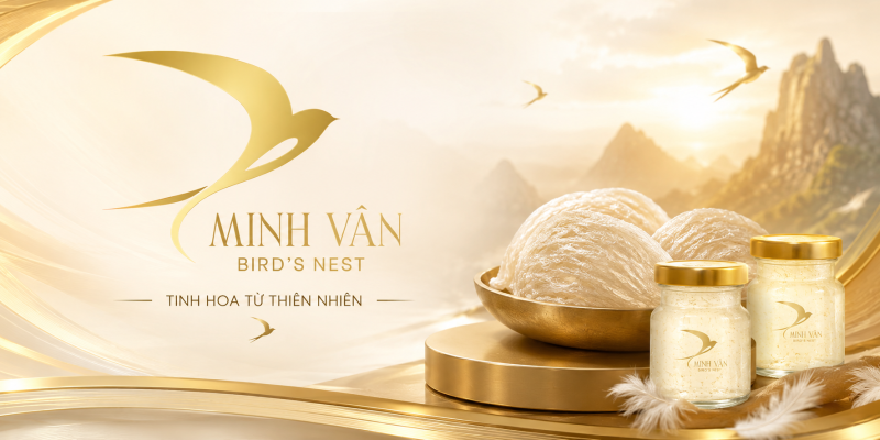 yến sào minh vân